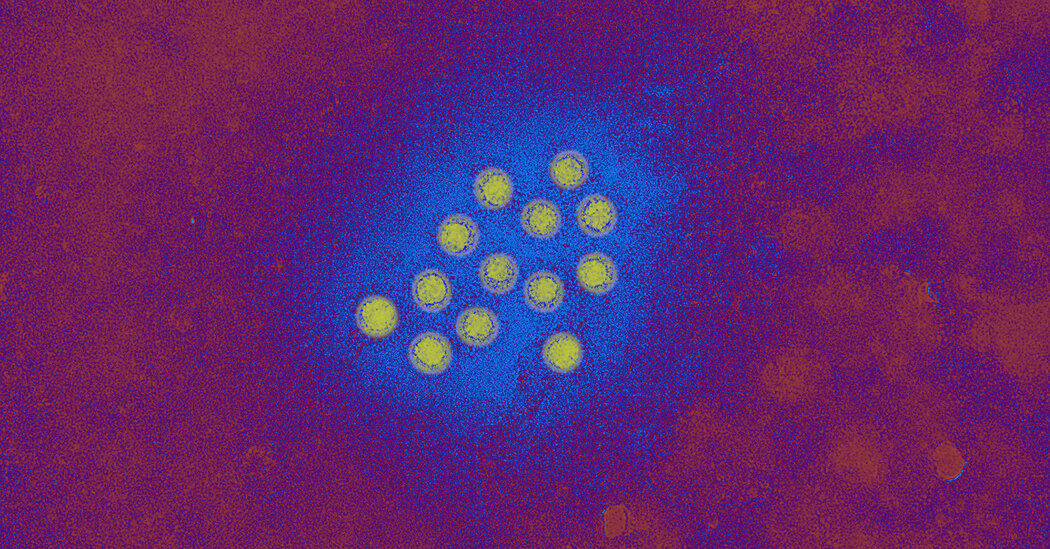 What to Know About the Hepatitis A Outbreak in L.A. County 1 09HS HEPATITIS A facebookJumbo