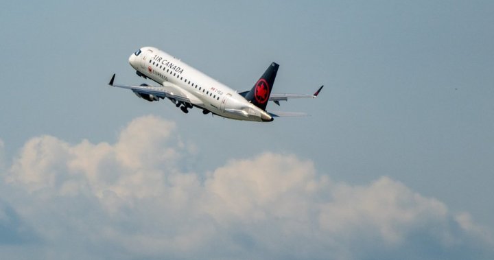 Air Canada’s U.S. bookings to drop by ‘low teens’ in next 6 months: CEO - National 1 93614dc38f971da534a1ce4bfc7c3512ffb8fde22e5588beb3a882444068fd74 341b59