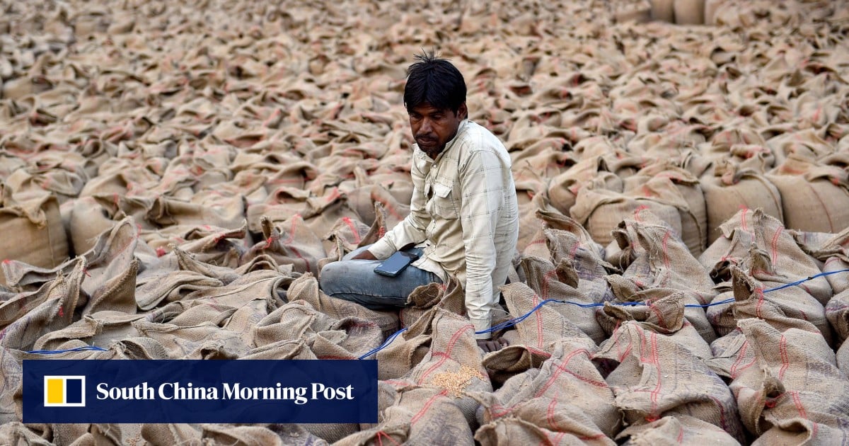 Fears among India’s farmers rise over US food imports crossing ‘red line’ 1 f092d7b5 c1df 4a50 b394 97508d43d785 5d82a387