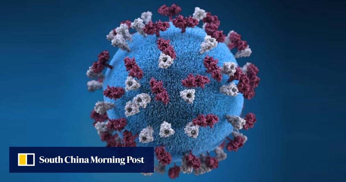 Measles roars back in the US, topping 1,000 cases 1 fd2680fc 533d 4a33 8c8d 13caa091b5bf e15302a2
