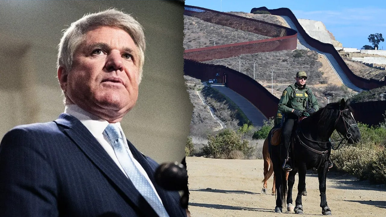 mccaul border security