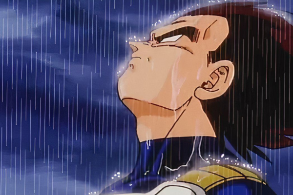 rainy boi vegeta