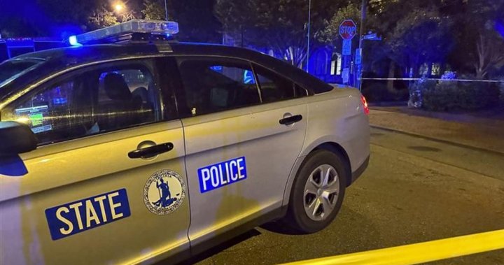 Teen shot, killed by Virginia homeowner while recording TikTok prank - National 1 virginia police car