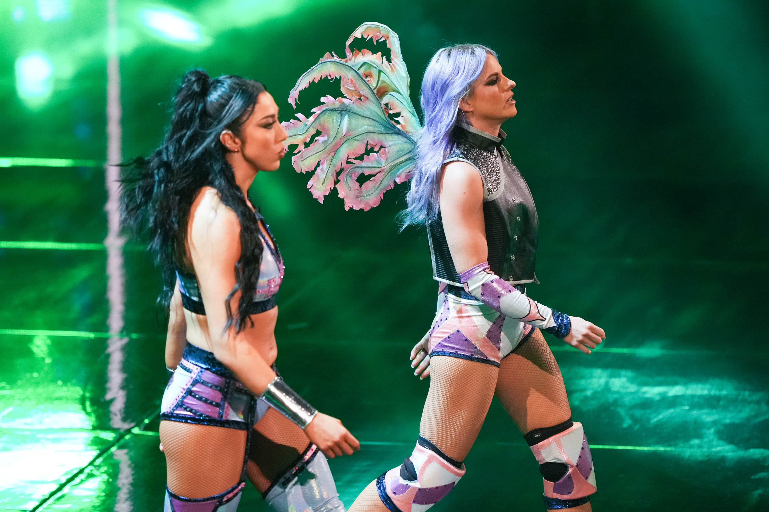 Released Superstar Shares Biggest Regret in WWE 1 wwe indi hartwell candice lerae