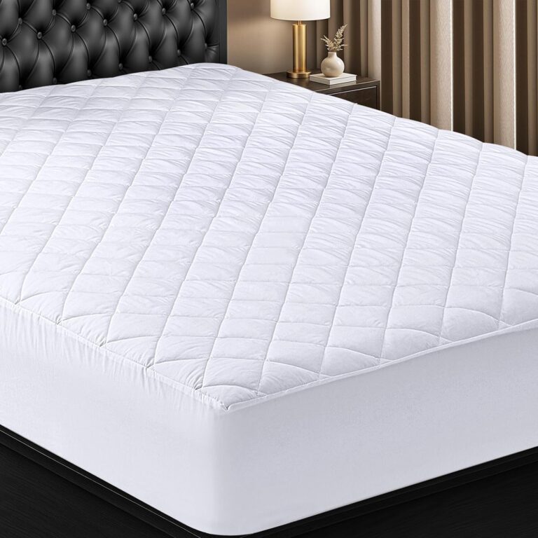 81o-fAm35DL._AC_SL1500_.jpg