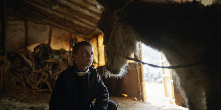FF61_TheBeautyoftheDonkey1_1200x600.jpg