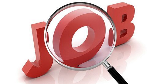 Job-e1622533269987.jpg