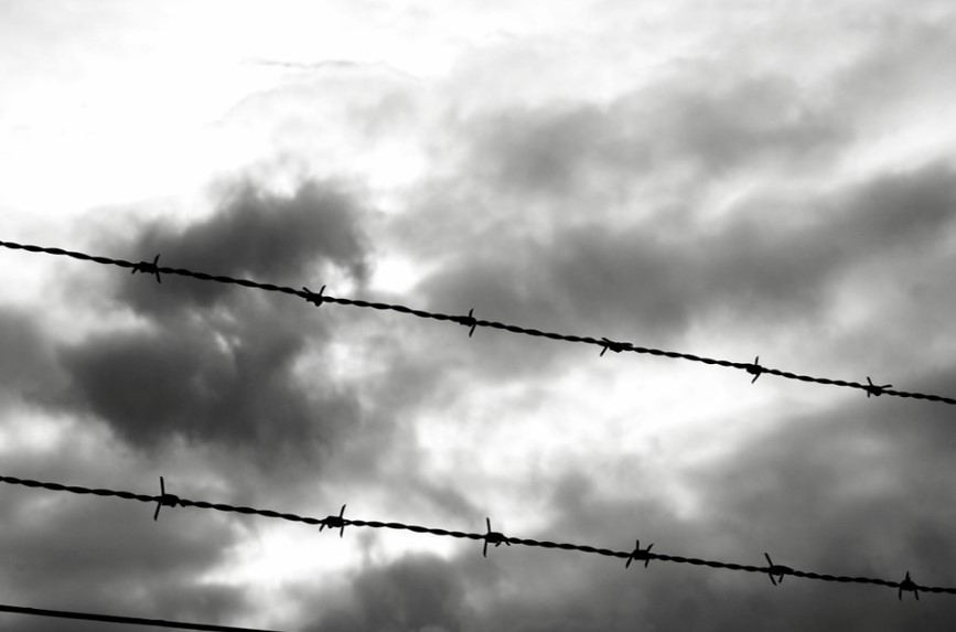 Wire.jpg