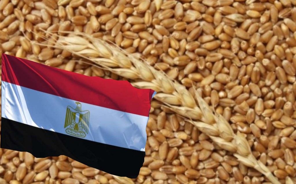 egypt.jpg