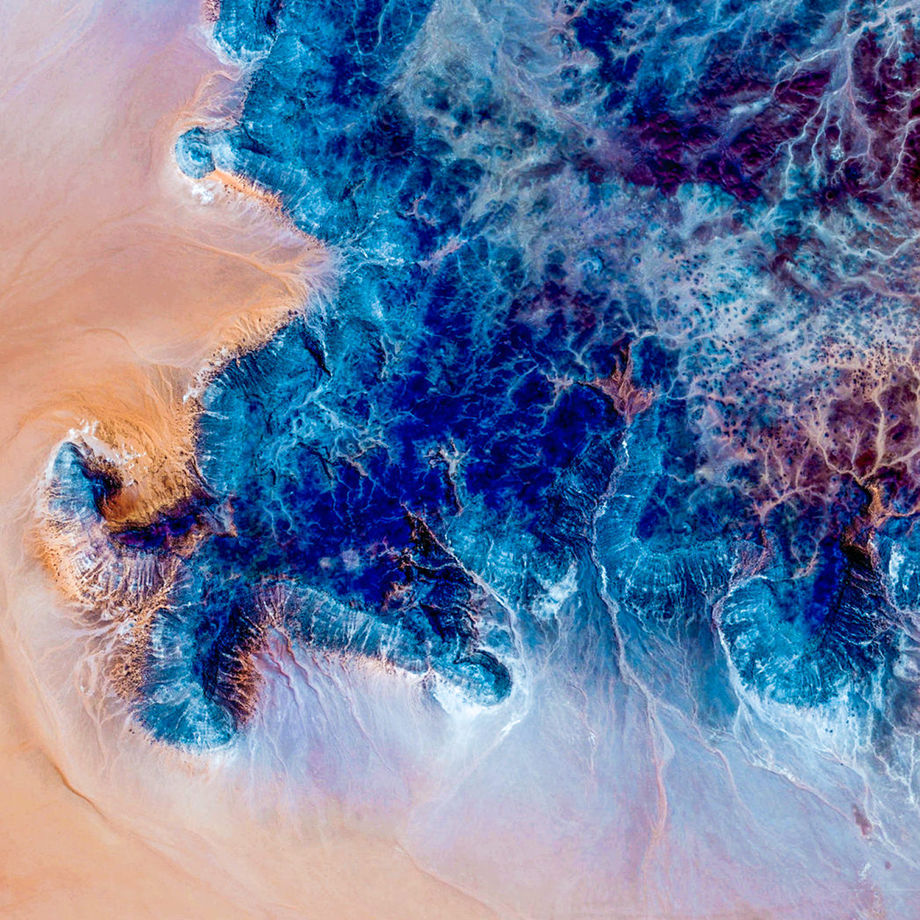 hero_image_Earth_AI.width-1300.png