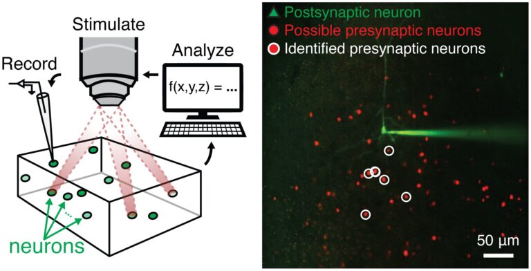holographic-optogeneti.jpg