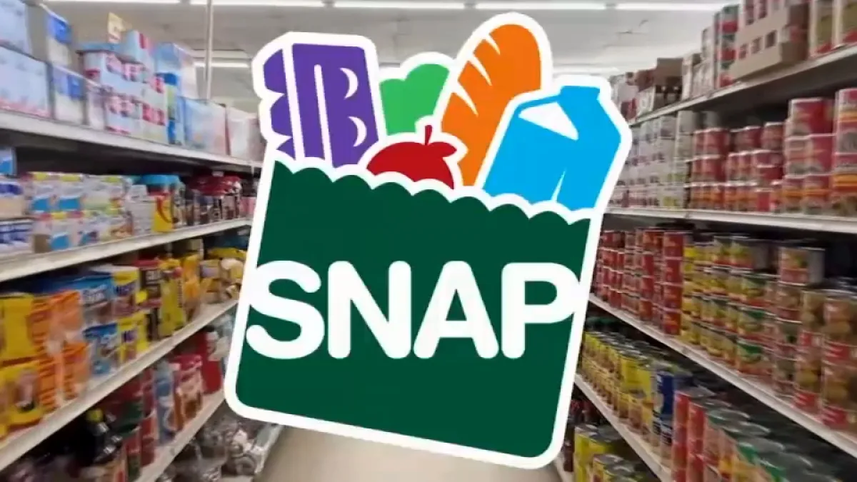 snap-store.jpg