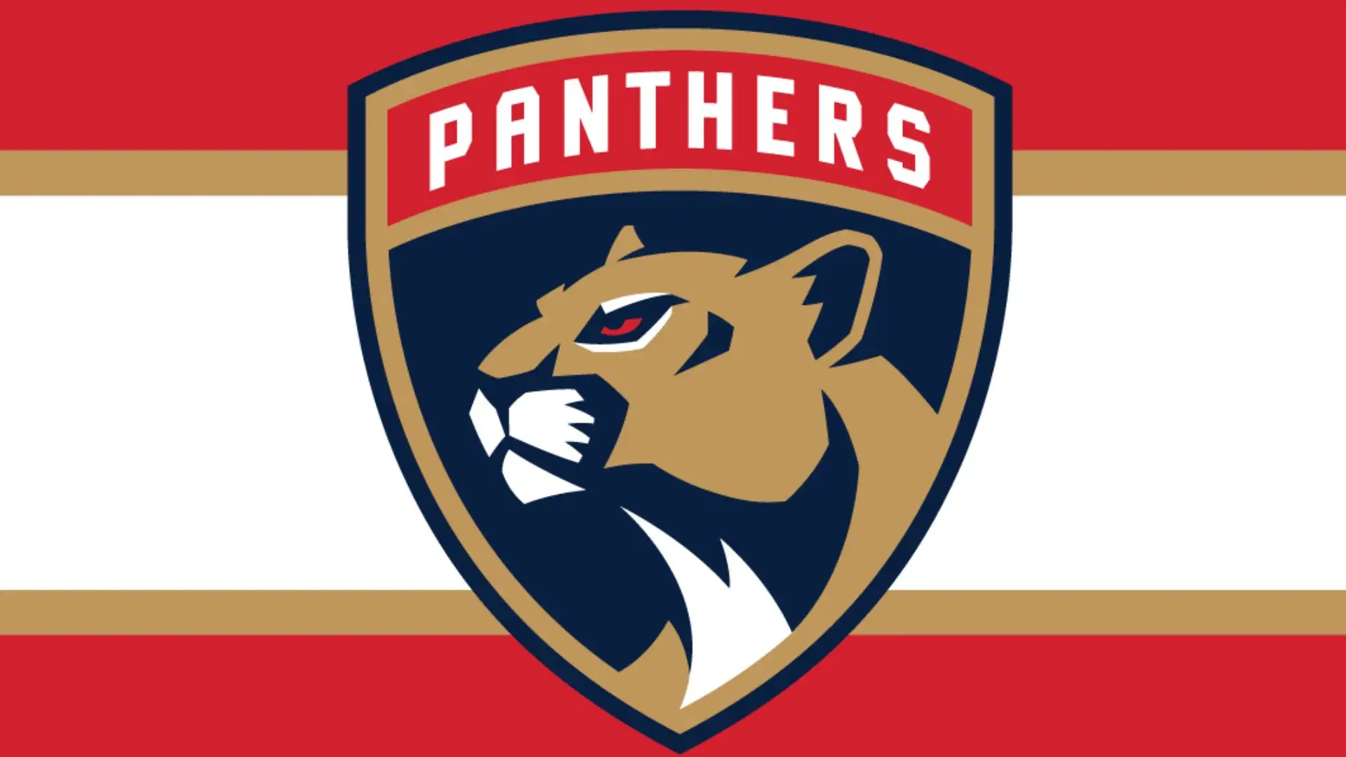 FLORIDA-PANTHERS.jpg