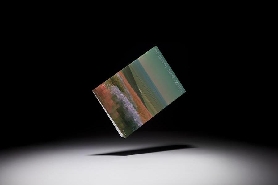 thedigital_stateproject-creativecomponent-jpg.jpeg
