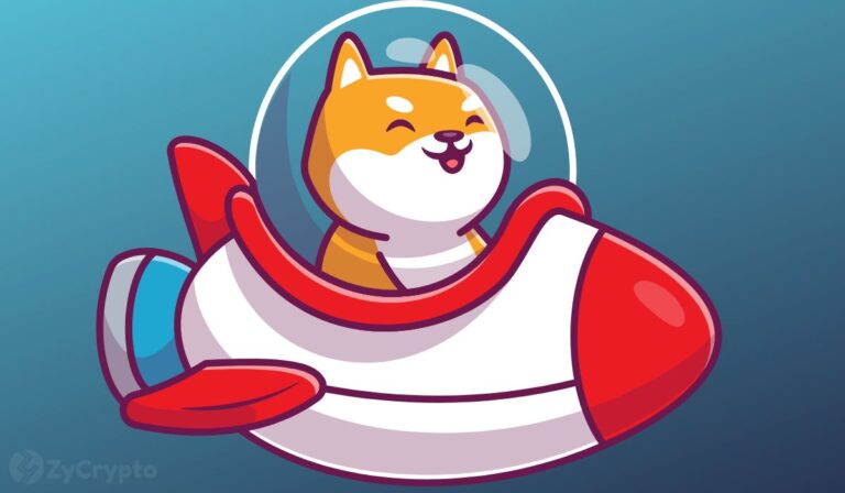 Shiba-Inu-Community-Anticipates-Major-Updates-Rocket-Pond-Launch-SHIB-Metaverse-and-Shibarium-Mainne.jpeg